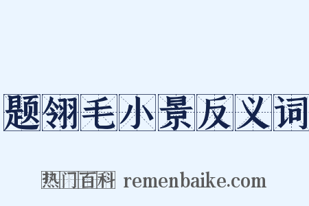 题翎毛小景反义词是什么意思的图片